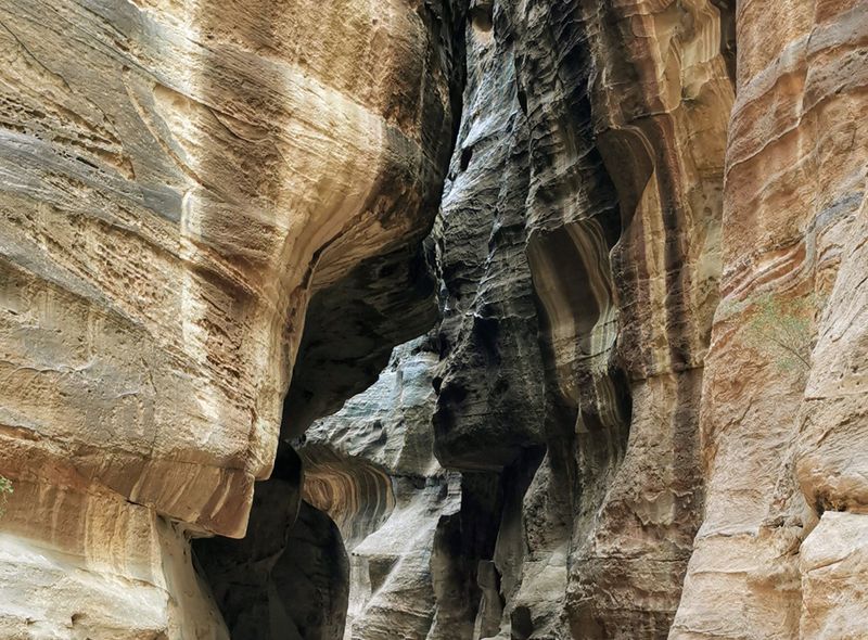 Groepsreis Jordanië