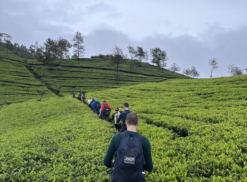 Groepsreis Sri Lanka