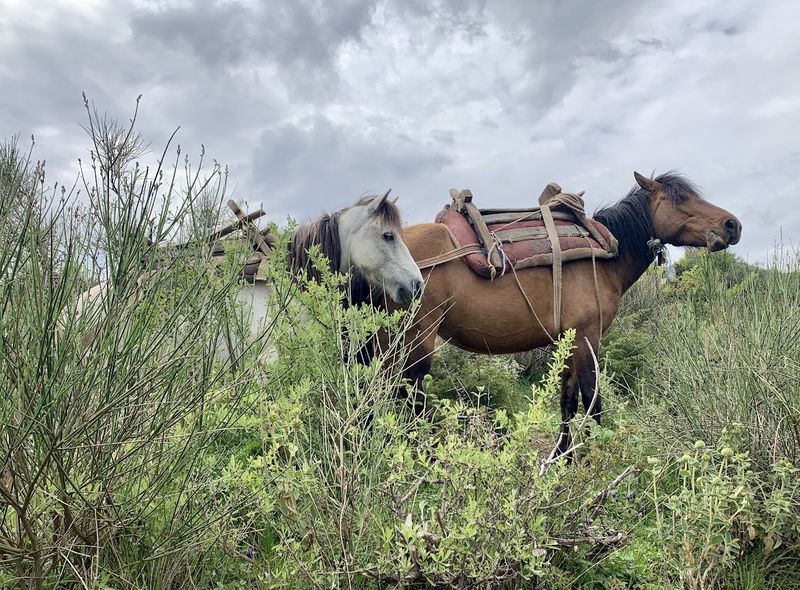Groepsreis Albanië Zagoria