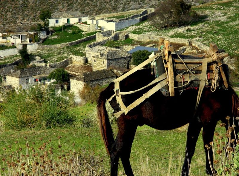 Groepsreis Albanië Zagoria