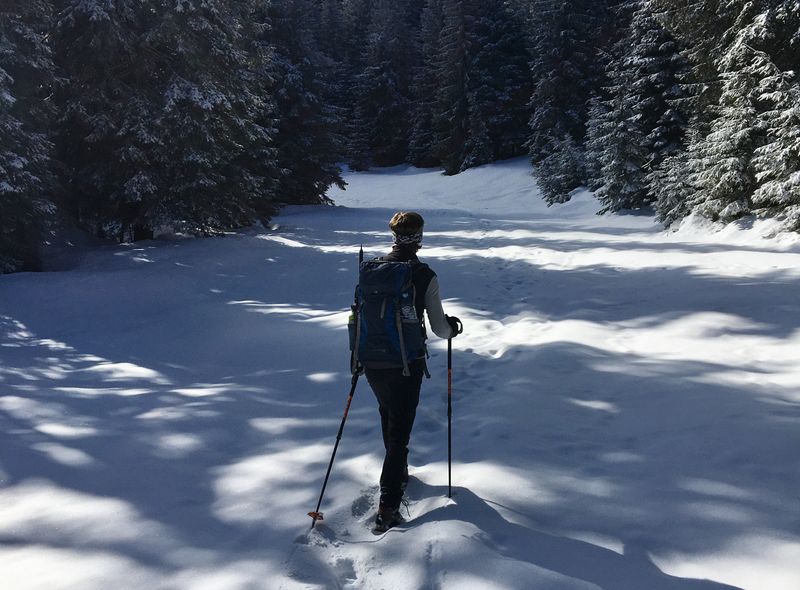 Groepsreis Slovenië