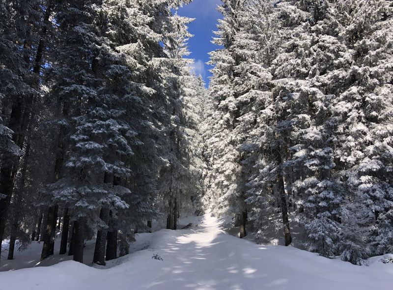 Groepsreis Slovenië