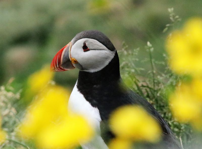 Groepsreis Campervan IJsland
