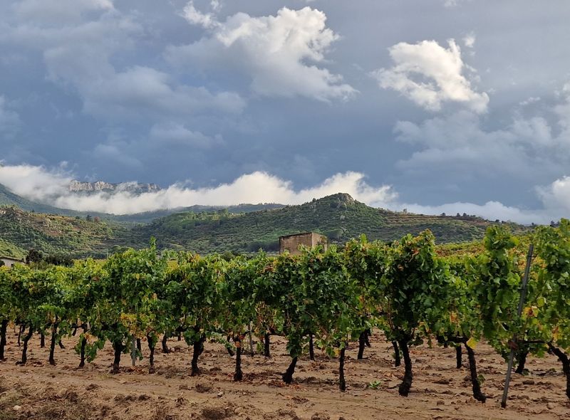 Groepsreis Sardinië