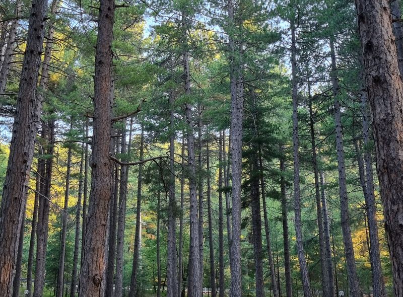 groepsreis Italië: Eolische eilanden en Sicilië