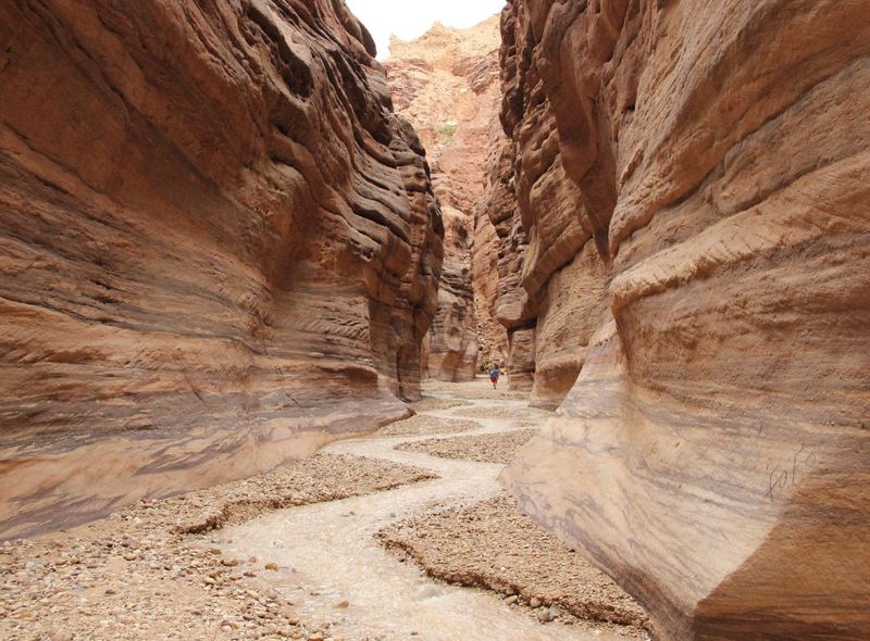  Jordanië Groepsreis