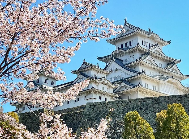 groepsreis Japan