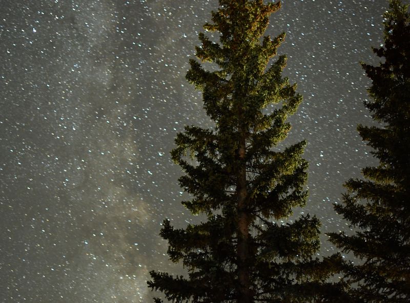 Groepsreis West - Canada