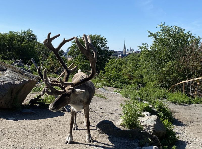 Groepsreis Stockholm Tallinn
