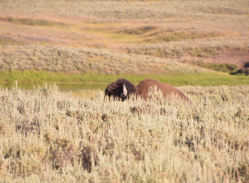 Groepsreis noordwest USA