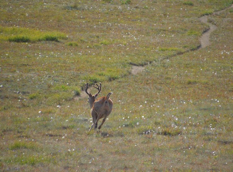 Groepsreis noordwest USA