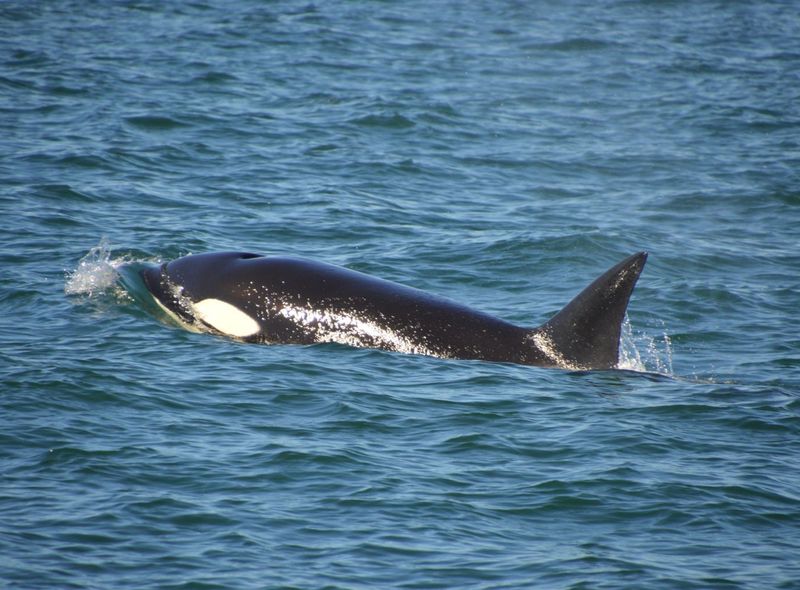 Groepsreis noordwest USA