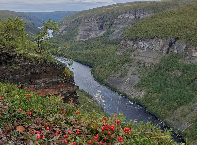 groepsreis Noorwegen, Zweden, Finland