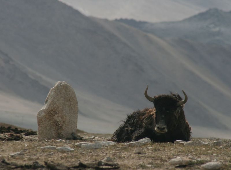 Groepsreis Kirgizië