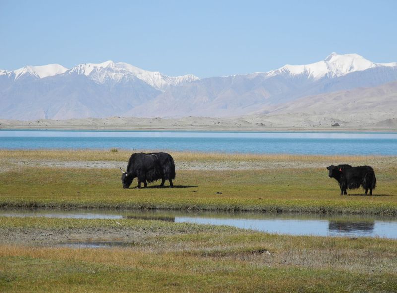 Groepsreis Kirgizië