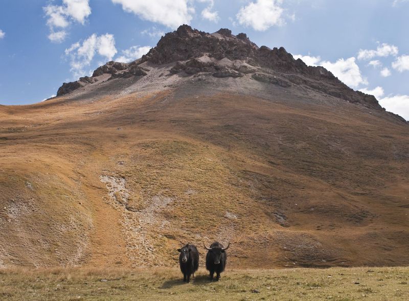 Groepsreis Kirgizië