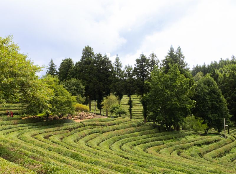 Groepsreis Zuid-Korea