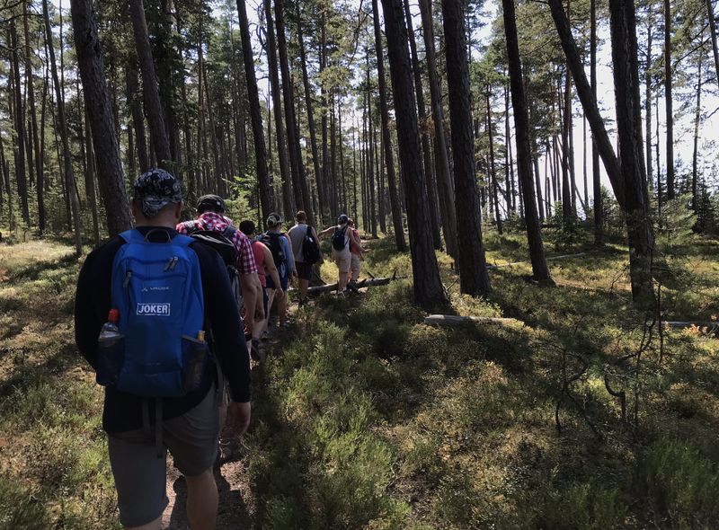 Groepsreis Litouwen Letland Estland
