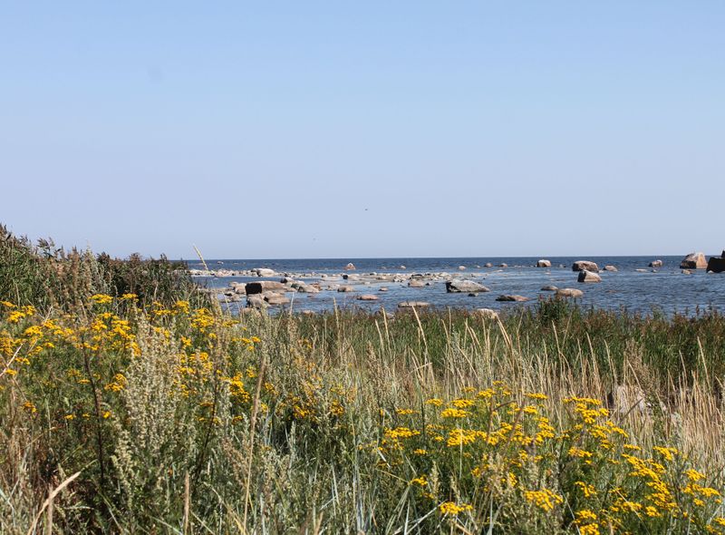 Groepsreis Litouwen Letland Estland