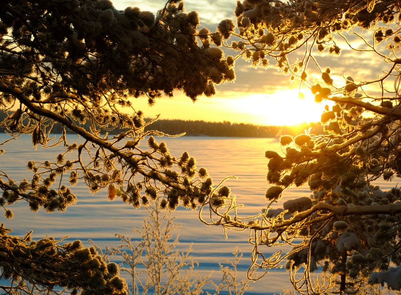 Winterlandschap Zweden
