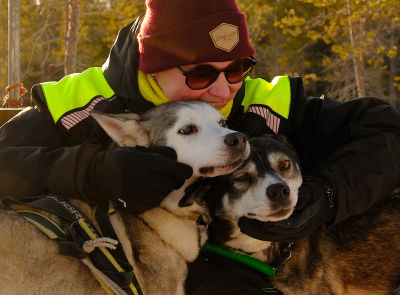 Husky's knuffelen Zweden