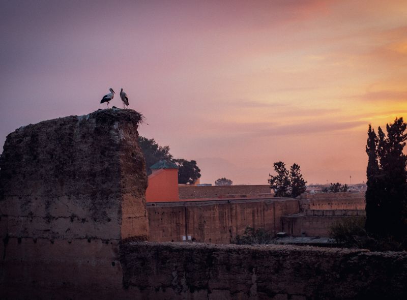 Groepsreis Marokko Marrakech zonsondergang ooievaar