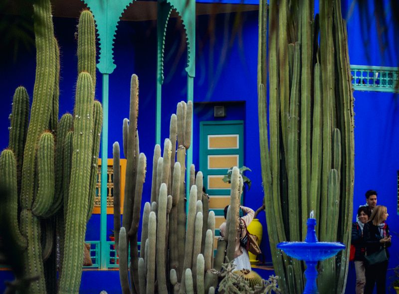 Groepsreis Marokko Marrakech Majorelle