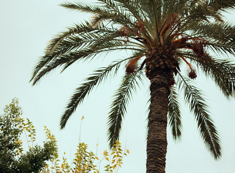 Groepsreis Marokko Marrakech