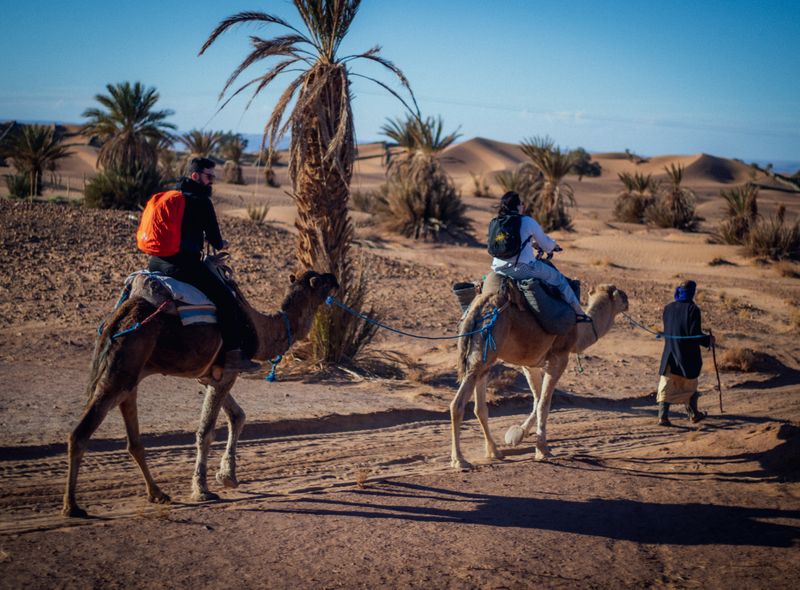 Groepsreis Marokko woestijn kamelen