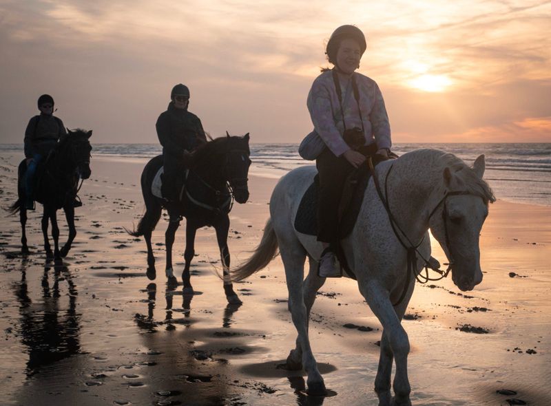 Groepsreis Marokko Citytrip Essaouira paardrijden