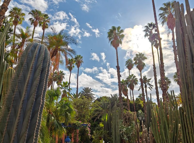 Groepsreis Marokko Citytrip Marrakech Jardin Majorelle