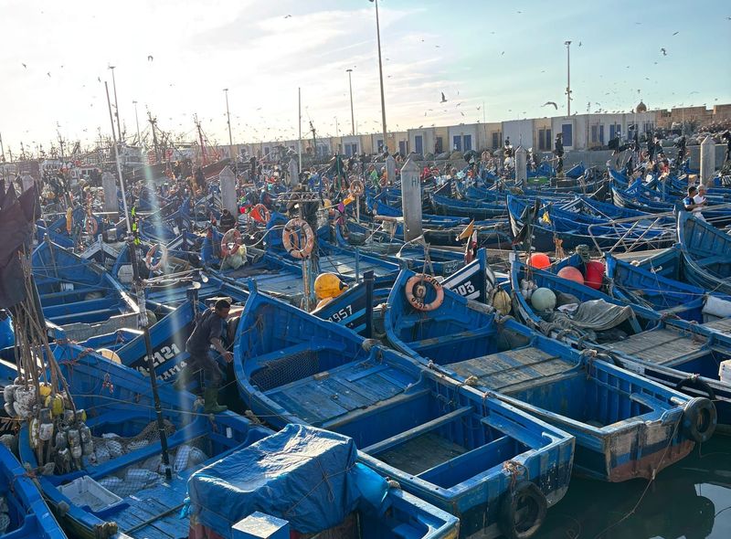 Groepsreis Marokko Citytrip Essaouira