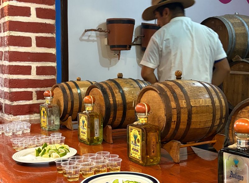 Groepsreis Mexico