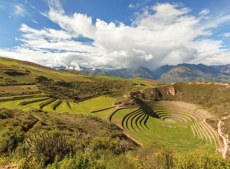 Moray
