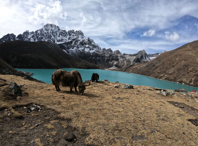 Groepsreis Nepal Everest basecamp