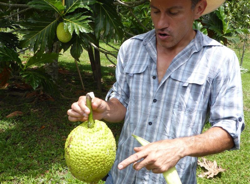 Groepsreis Guatemala en Honduras