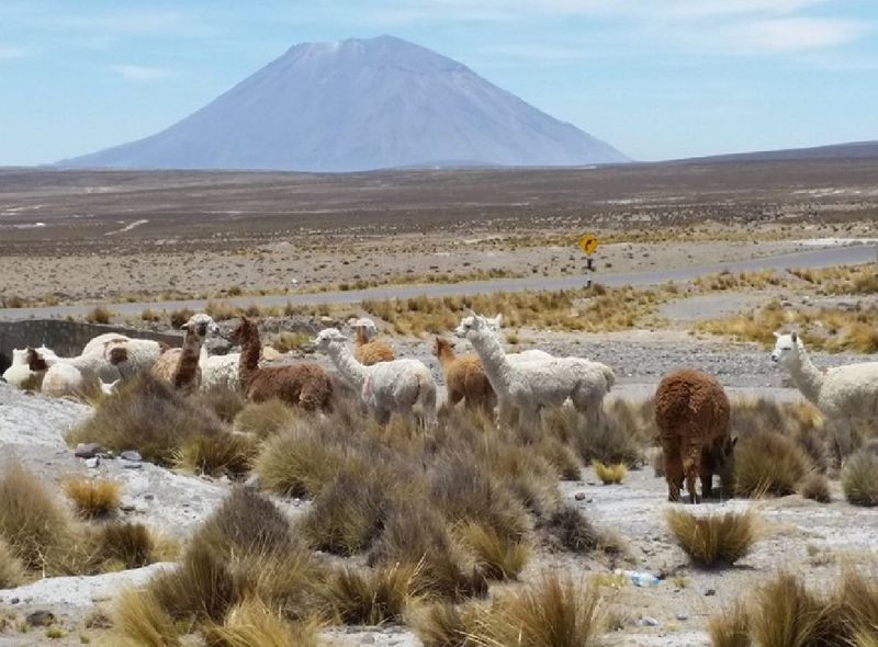 Peru