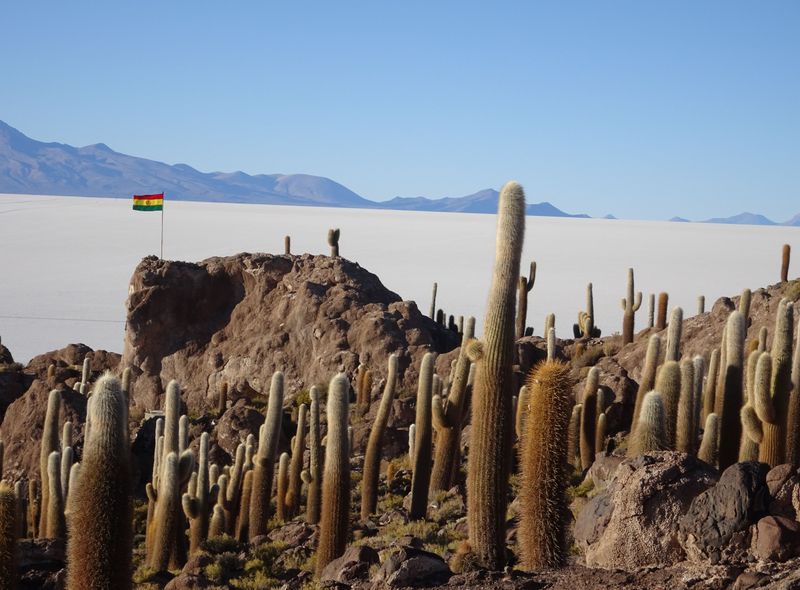 Groepsreis Bolivia en Peru