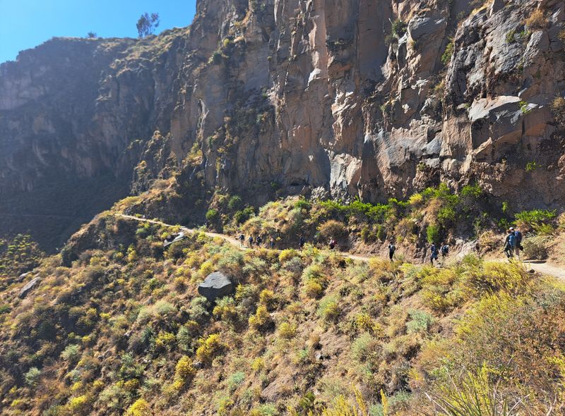 Colca Canyon trekking