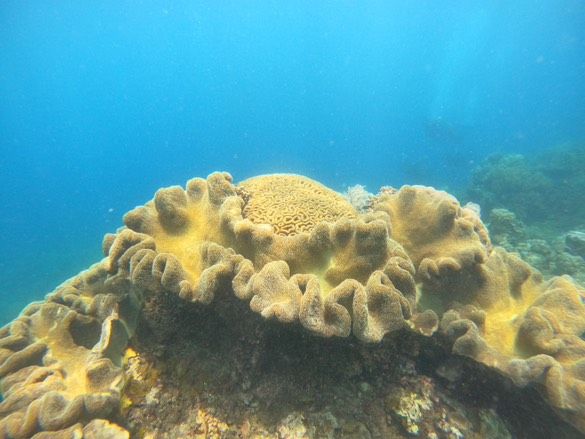 Groepsreis jongerenreis Filipijnen