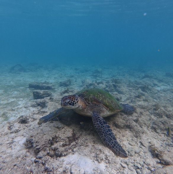 Groepsreis jongerenreis Filipijnen
