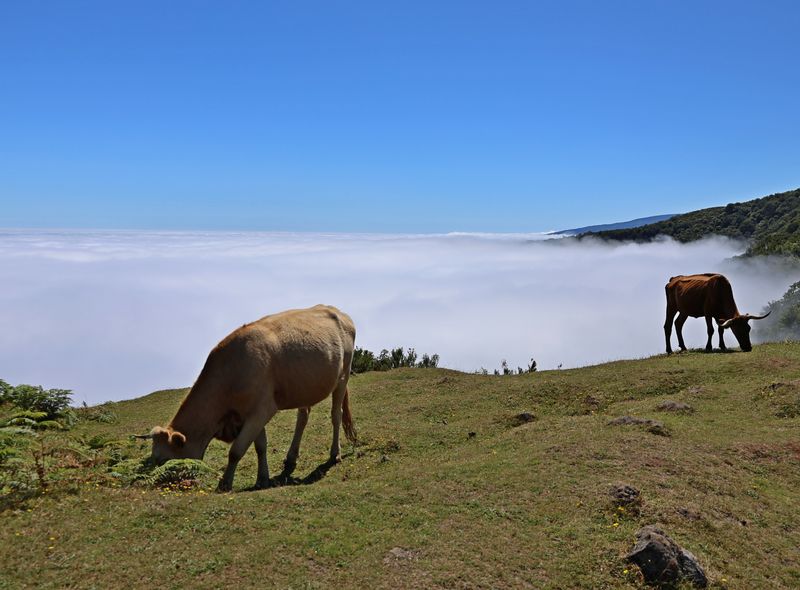 Groepsreis Portugal wandeltocht Madeira