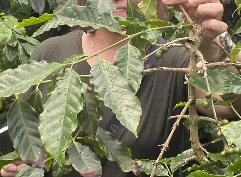 Portugal - Azoren groepsreis