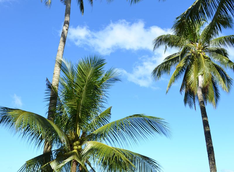 Groepsreis jongerenreis Filipijnen strandleven