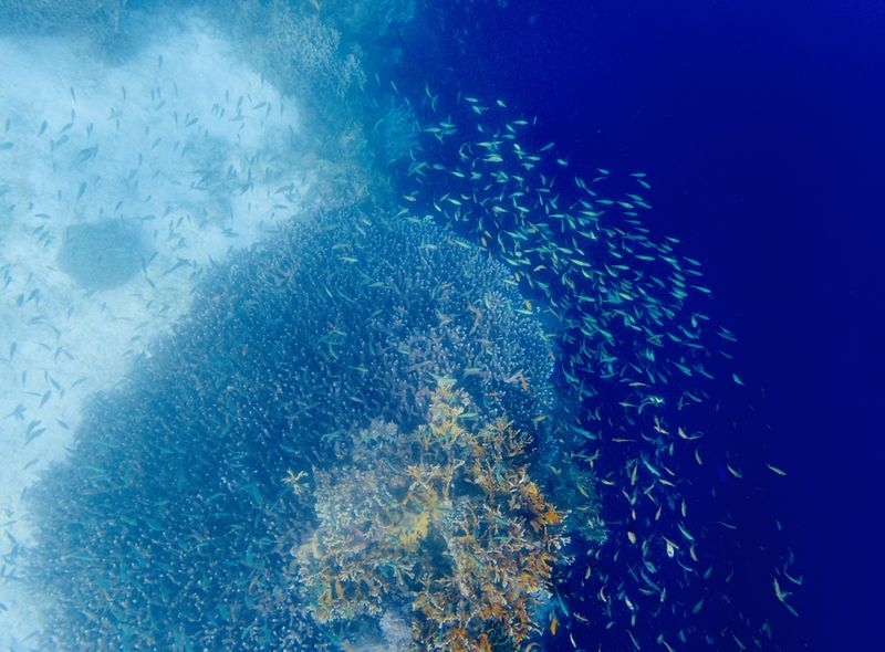 Groepsreis jongerenreis Filipijnen duiken en snorkelen