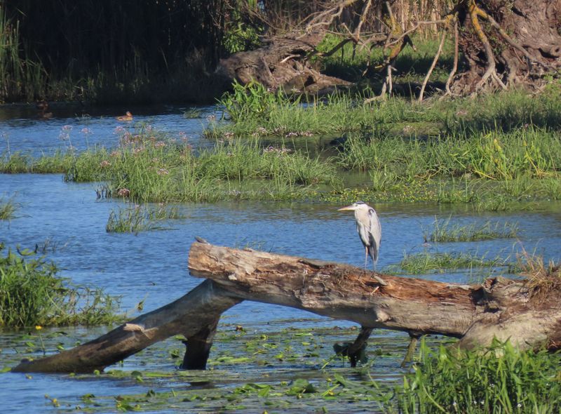 Roemenië Groepsreis