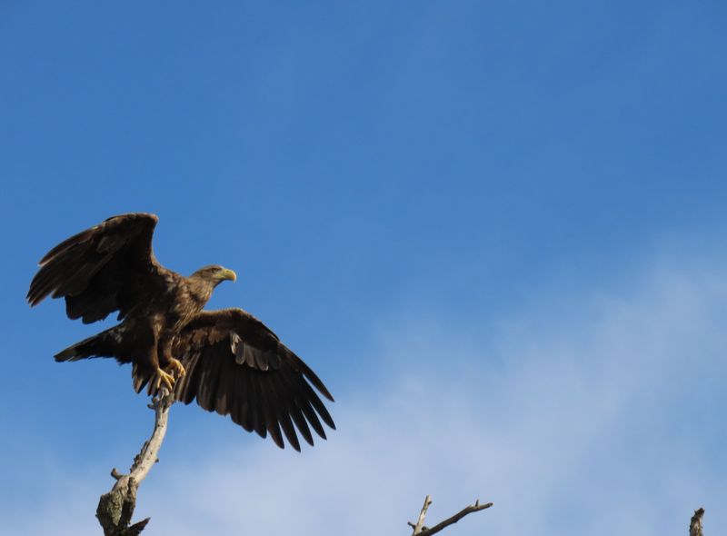 Roemenië Groepsreis