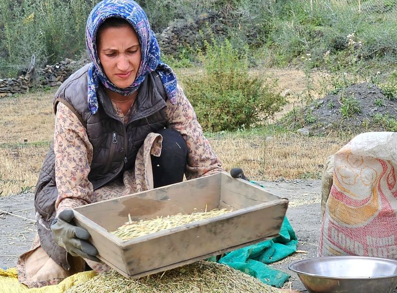 Vrouw in Shimshal