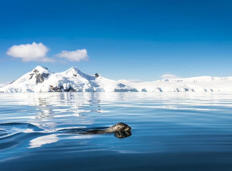 Groepsreis Antarctica