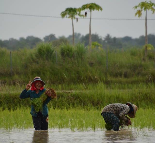 Groepsreis Thailand Cambodia
